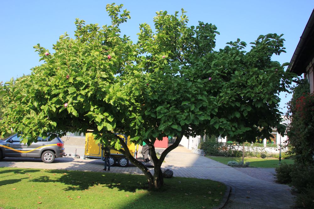 2016-leistungsschau-teuringer-wirtschaft_018