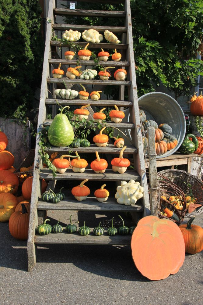 2016-leistungsschau-teuringer-wirtschaft_020