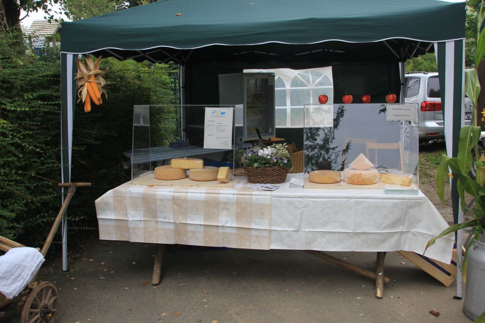 2016-leistungsschau-teuringer-wirtschaft_051