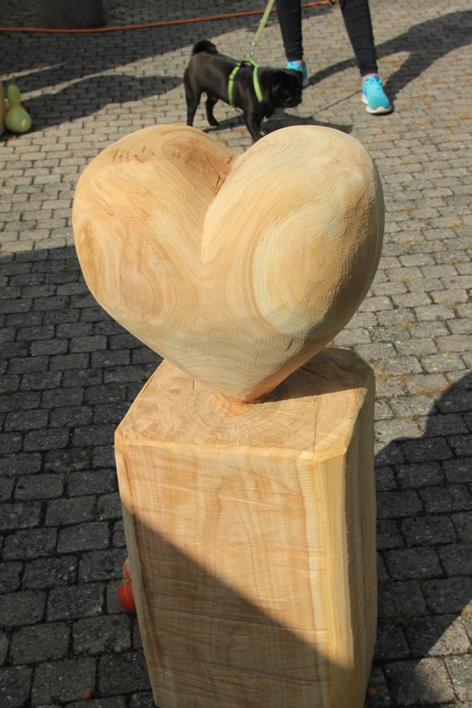 2016-leistungsschau-teuringer-wirtschaft_116