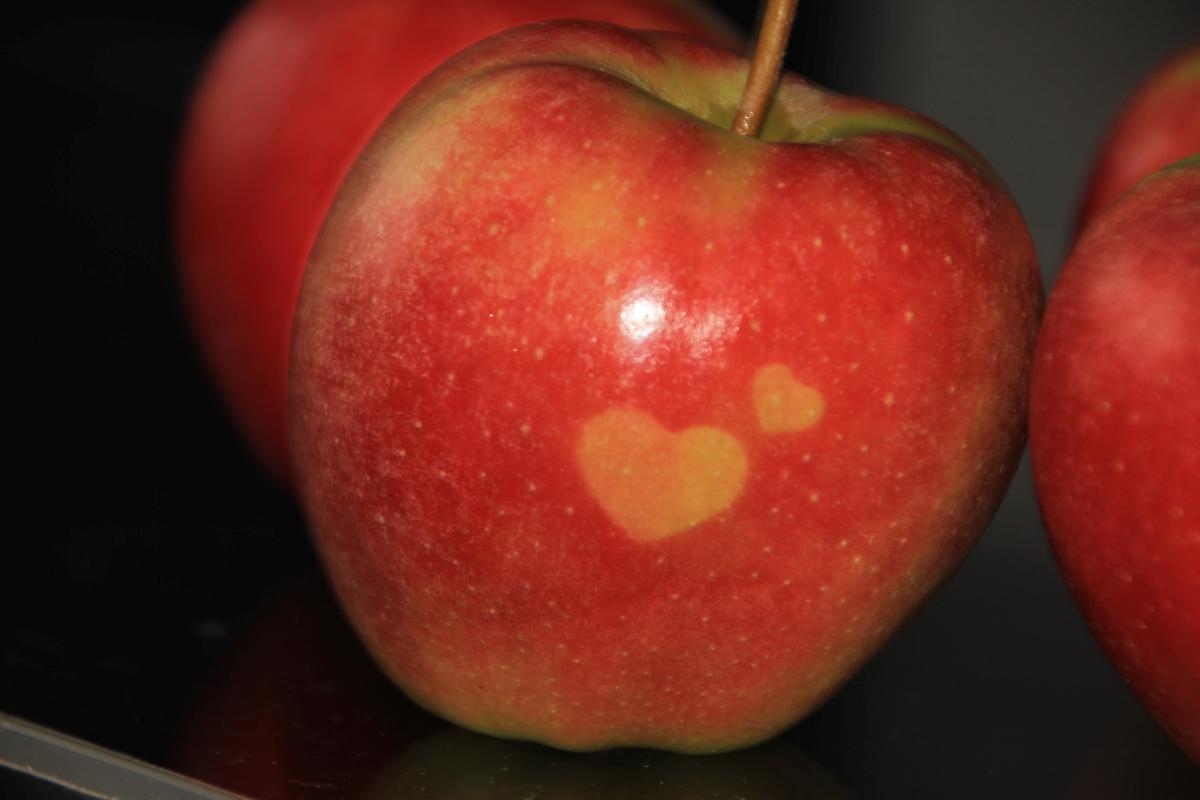 leistungsschau2019-teuringer-wirtschaft_006